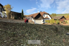 Arbeitseinsatz_02.11.18