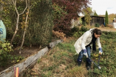 Arbeitseinsatz_27.10.18