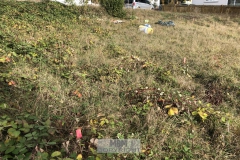 Arbeitseinsatz_27.10.18