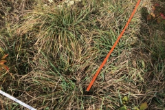 Arbeitseinsatz_27.10.18