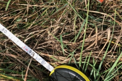 Arbeitseinsatz_27.10.18