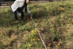 Arbeitseinsatz_27.10.18