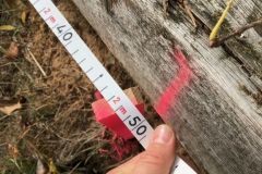 Arbeitseinsatz_27.10.18