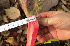 Arbeitseinsatz_27.10.18