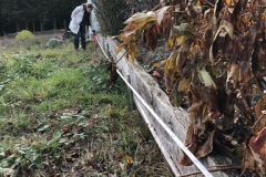 Arbeitseinsatz_27.10.18