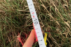 Arbeitseinsatz_27.10.18