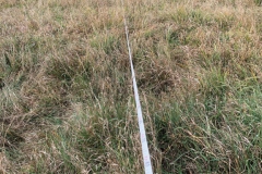 Arbeitseinsatz_27.10.18