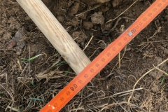 Arbeitseinsatz_27.10.18