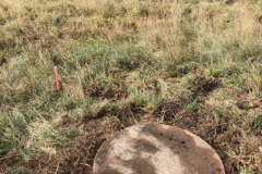 Arbeitseinsatz_27.10.18