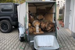 Arbeitseinsatz_27.10.18