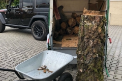 Arbeitseinsatz_27.10.18