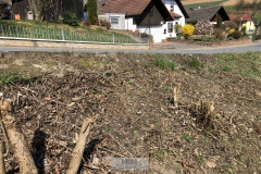 Anlieferung schweres Gerät