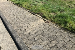 Anlieferung schweres Gerät